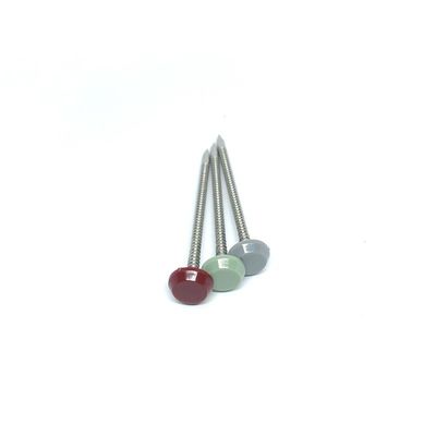 2.0MM Tel Çapı Plastik Kafa 316 Paslanmaz Çelik Çiviler