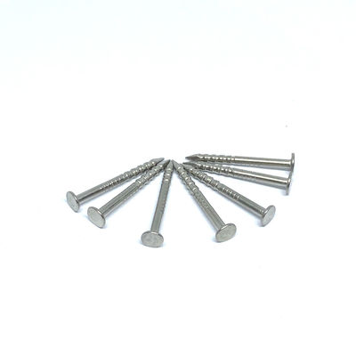 1.6X19MM Halka Sap 316 paslanmaz çelik yassı başlı çivi