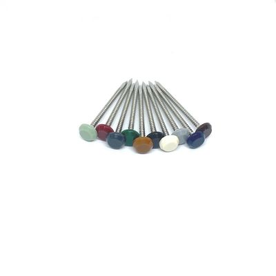 A4 Paslanmaz Çelik UV Kararlı Plastik Kafa Çivileri Naylon PA6 Kafa
