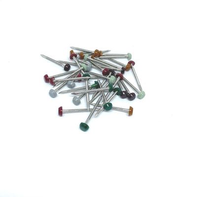 Naylon PA6 Halka Halka Plastik Başlı Pimler Paslanmaz Çelik 304L