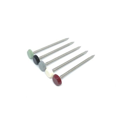 65MM Uzunluk Naylon Plastik Kafa Çivileri, Halkalı Saplı