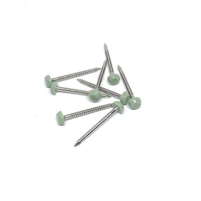 Paslanmaz Çelik A2/A4 Halka Saplı Plastik Başlı Çiviler 2.0X30mm