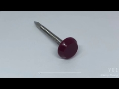 Paslanmaz Çelik Plastik Başlı Çivi